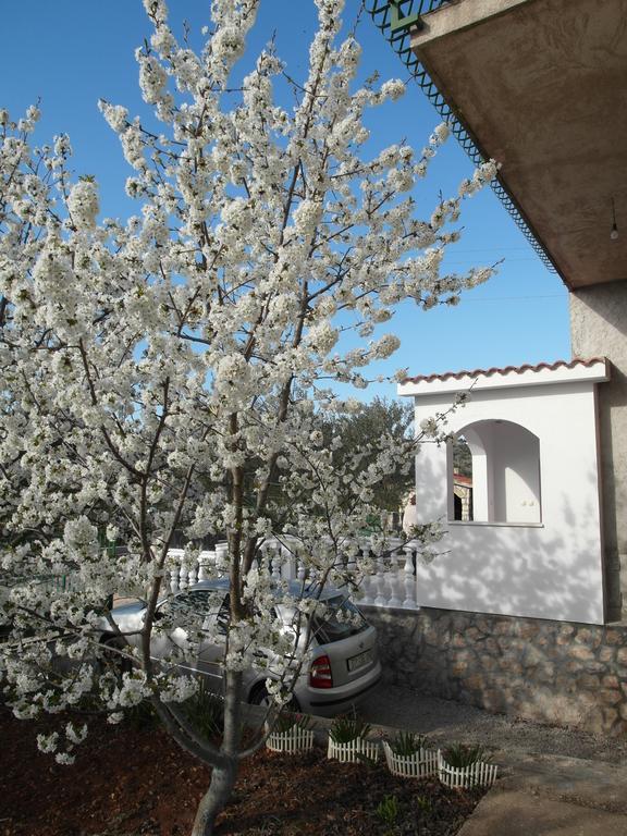 Apartment Antonio Sibenik Exterior photo